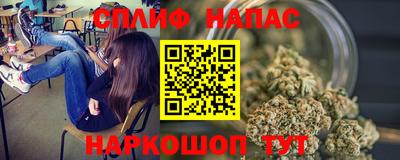 спиды Аргун