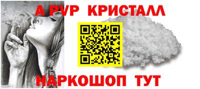 спиды Аргун