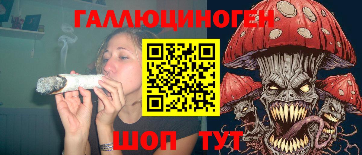 Псилоцибиновые грибы мицелий Нижнекамск