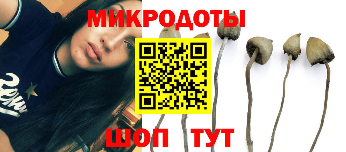 ГАШ Нижнекамск